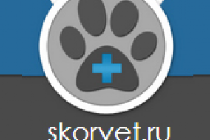 SEO-контент для сайта SKORVET.RU