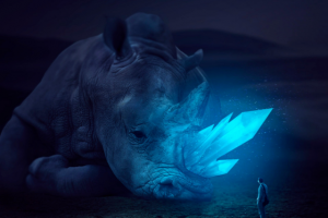 Гигантское сокровище