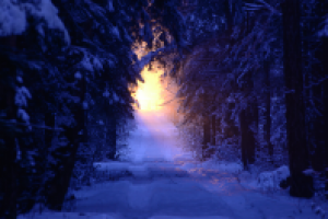 Работа 1662428