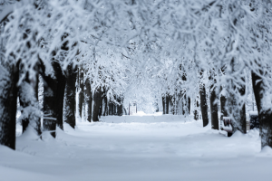 Зимний пейзаж