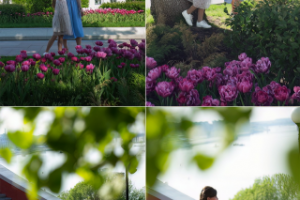 в солнечный день