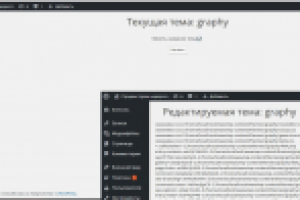 Плагин уникализации темы wordpress