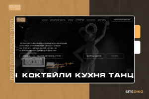 «BULLWAR» Бары разных концепций