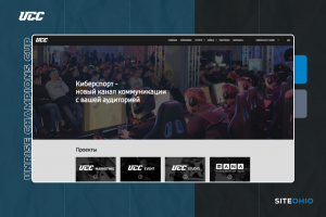 «UCC» Киберспортивная организация