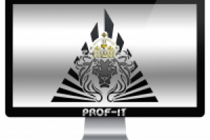 Лого Лео-Риелти