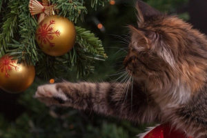 Стих к 2021 новому году