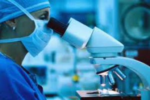 О компании: ДНК-анализ