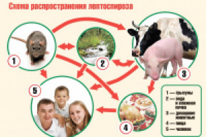 Про болезни