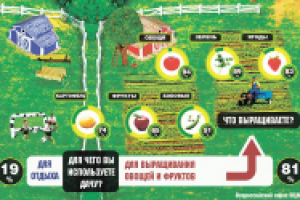 Что мы делаем на даче