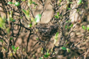 Работа 2999248