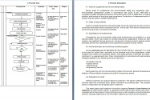 Описание процесса проведения внутренних аудитов RU-EN