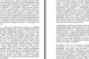 Описание ротора EN-RUS