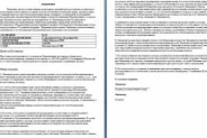 Лицензионный договор EN-RU