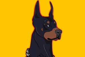 Аватарка ютуб канала