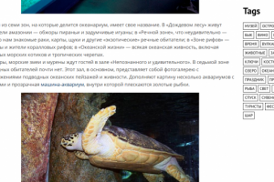 Океанариум Бангкока