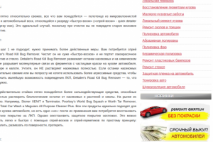 Как очистить кузов от насекомых и смол