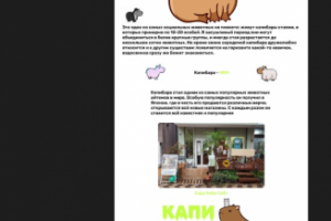 Сайт о Капибаре