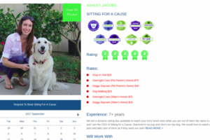 PSD to HTML - responsive
