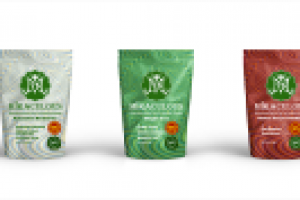 Работа 2698817