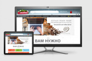 Брендирование страницы Seagete. Сайт Эльдорадо