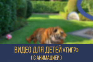 Видео для детей/Youtube Kids (Тигр)