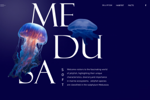 Сайт про медуз