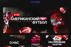 Американский футбол