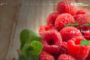 Сайт-визитка "Ukraine Products"