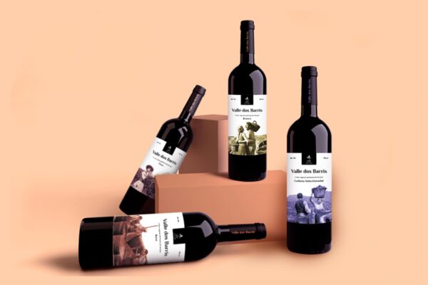img3904328.png