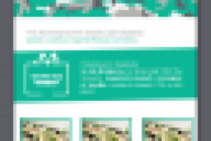 Дизайн + Верстка email рассылки