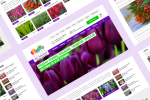 Корпоративный сайт компании «Мир тюльпанов»