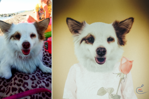 Портрет собаки