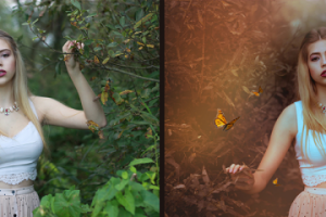 Художественная обработка