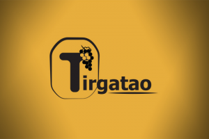 Логотип для Tirgatao