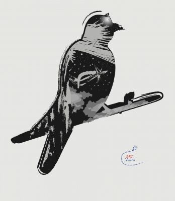 img4077026.png