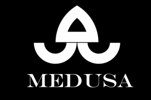 логотип бренда "Медуза"