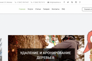Сайт услуг по удалению и спилу деревьев
