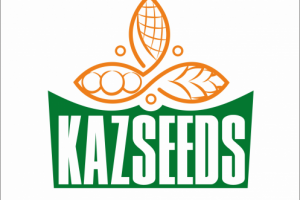 kazseeds