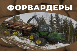 презентация "Форвардеры"