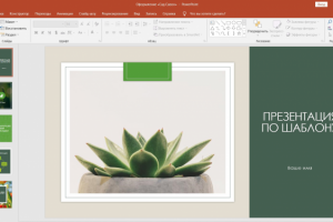 Презентация по шаблону