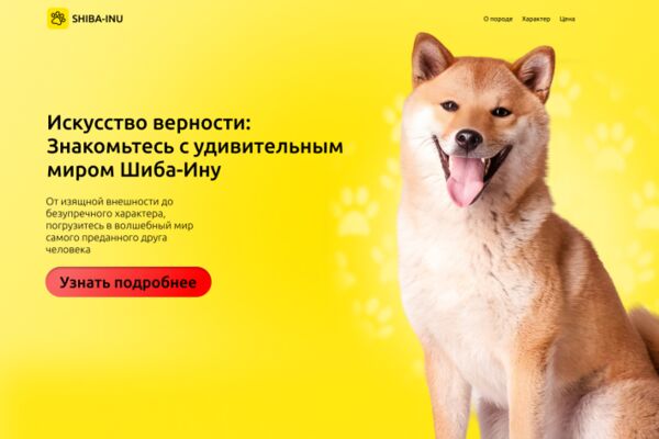 img4459556.png