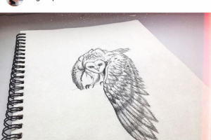 Работа 3671801