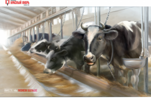 Иллюстрация для сайта завода "Красный якорь"