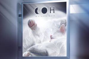 Работа 2431337