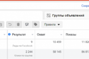 Кейс ЖК "Панорама парк Сосновка"