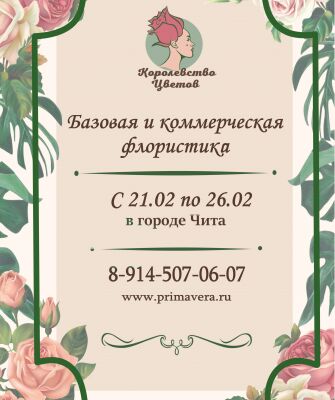 img4441691.png