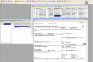 ВПФ "ПлатежноеПоручениеВходящее" УТ 10.3