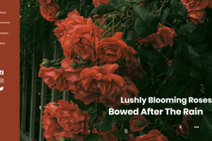 Работа 4144943