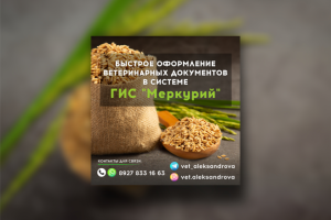 Дизайн рекламы для Телеграм канала