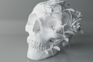 Работа 1750164